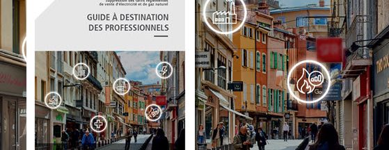 Un guide pour vous expliquer la fin des tarifs réglementés de vente et les démarches à effectuer