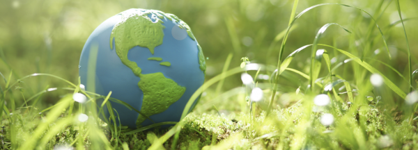 Offres vertes : le comparateur d’offres d’électricité et de gaz naturel évolue