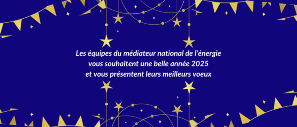Vœux 2025 du médiateur national de l&rsquo;énergie